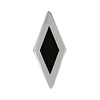 Polished Silver/Black (DPSB) [+$520.00]